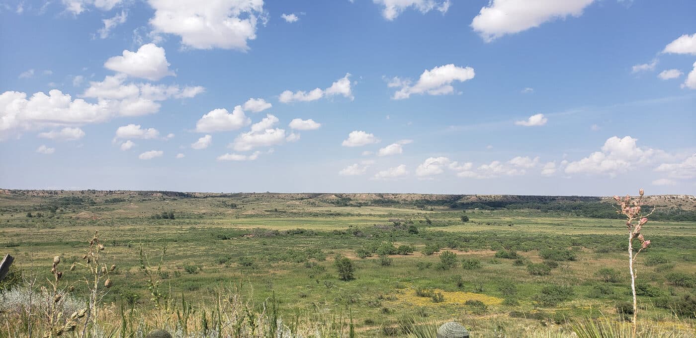 West Texas ranch country, at Forrest Ranch Beef
