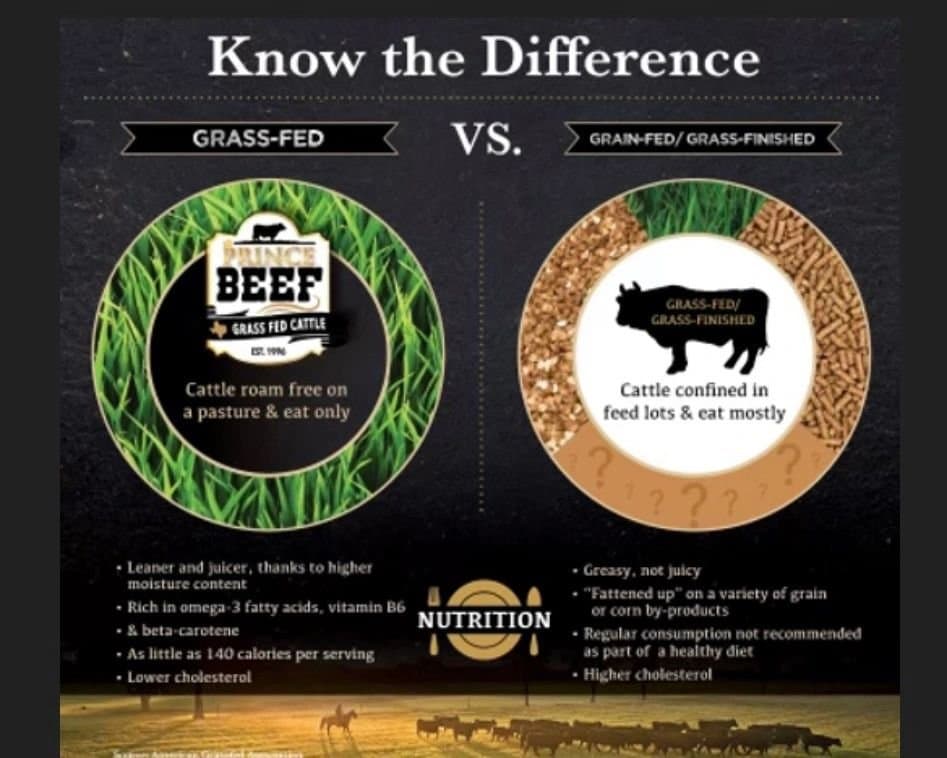 The ranch's guide to the difference between grass fed and grain fed beef