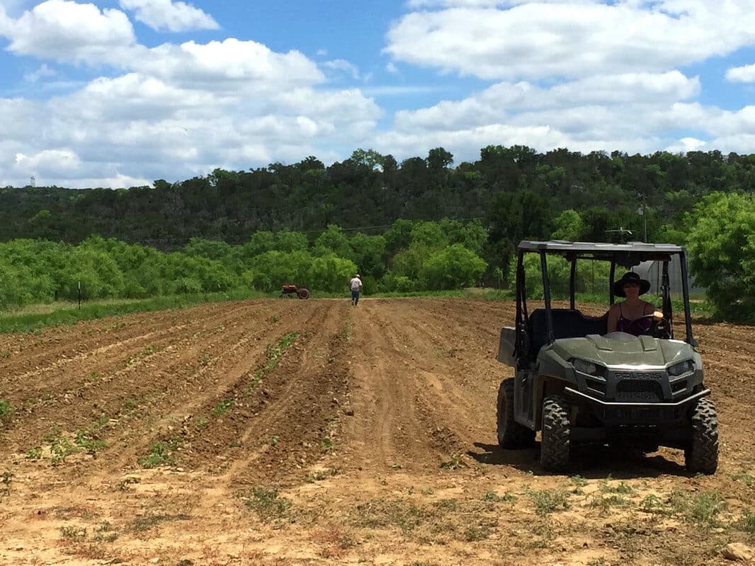 Working the ranch, at Holland Cattle Company