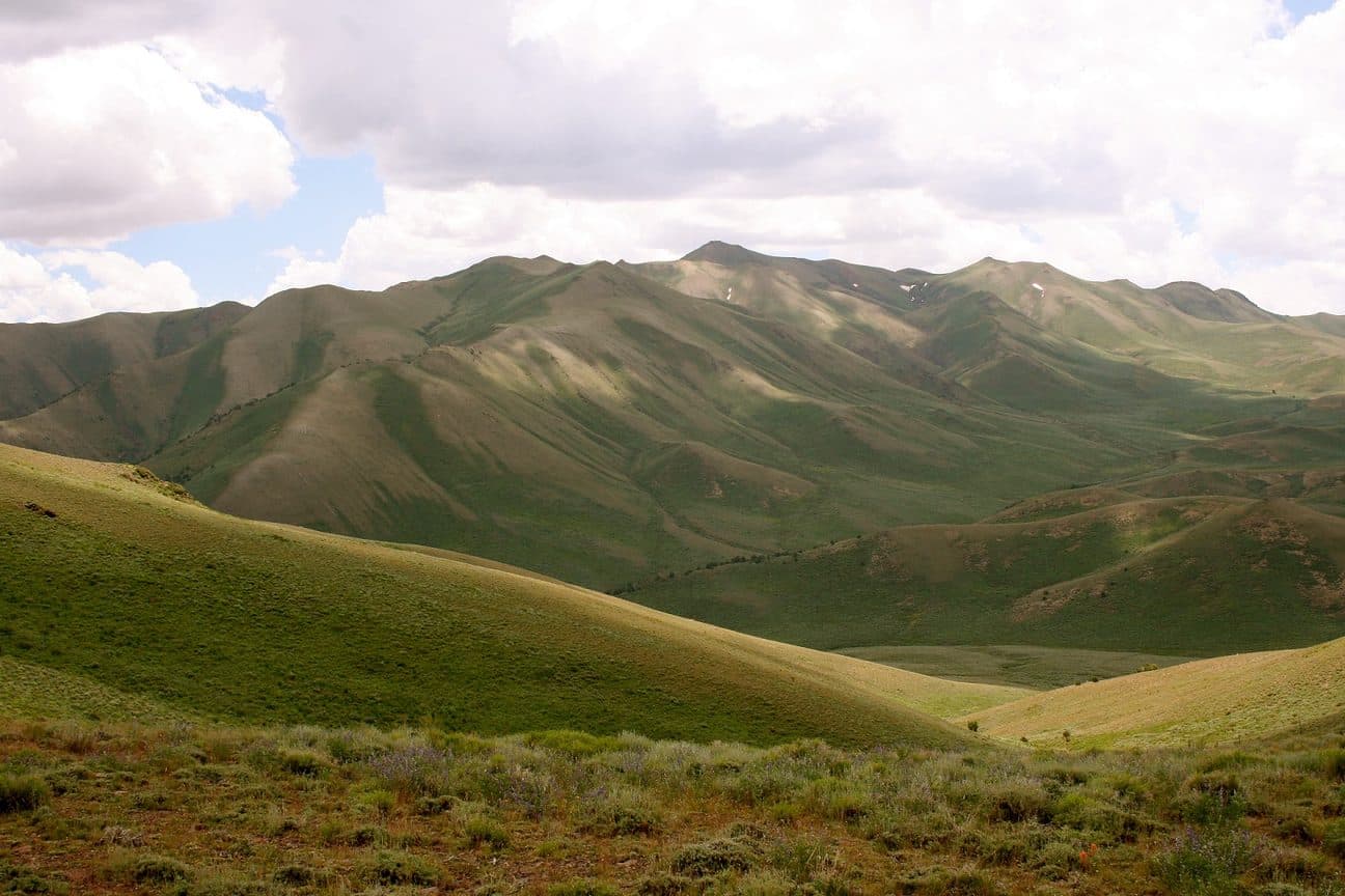 The Nevada range the cattle graze, at Alpine Ranch