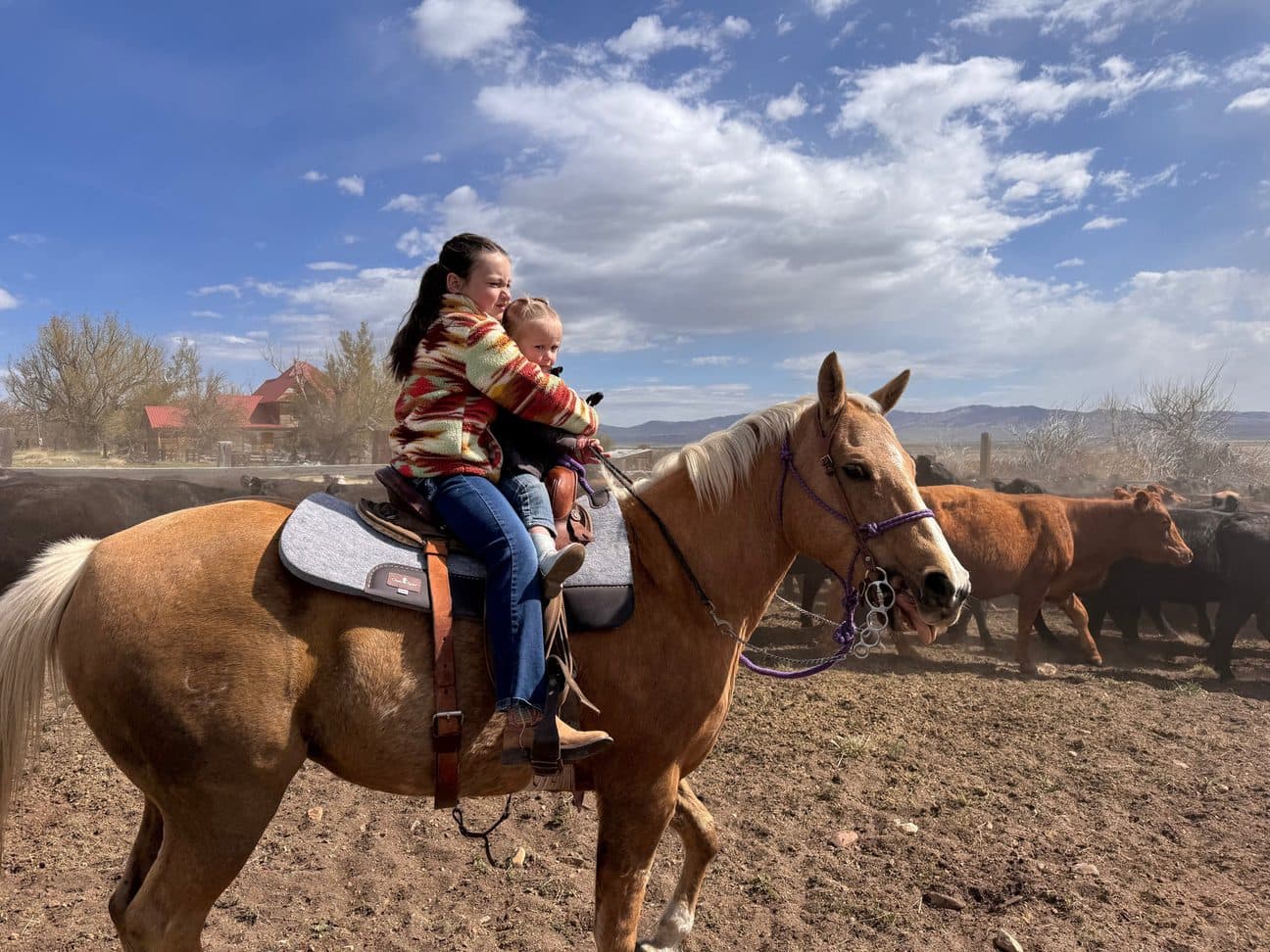 Working cattle horseback on the ranch