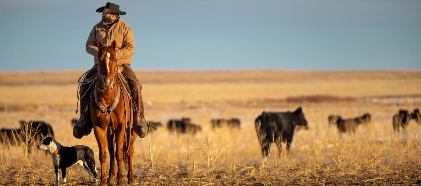 Riding out at sunset